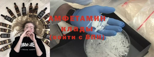 стаф Аркадак
