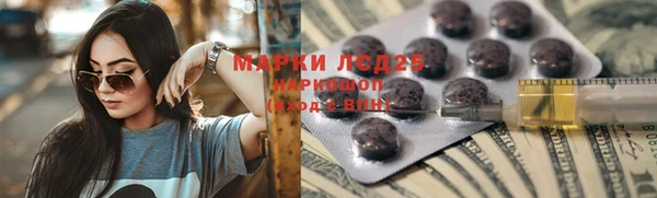 стаф Аркадак