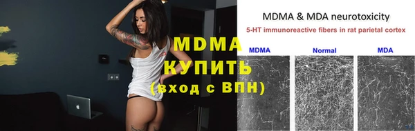 стаф Аркадак