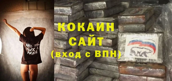 стаф Аркадак