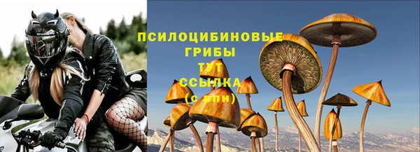 мет Арсеньев